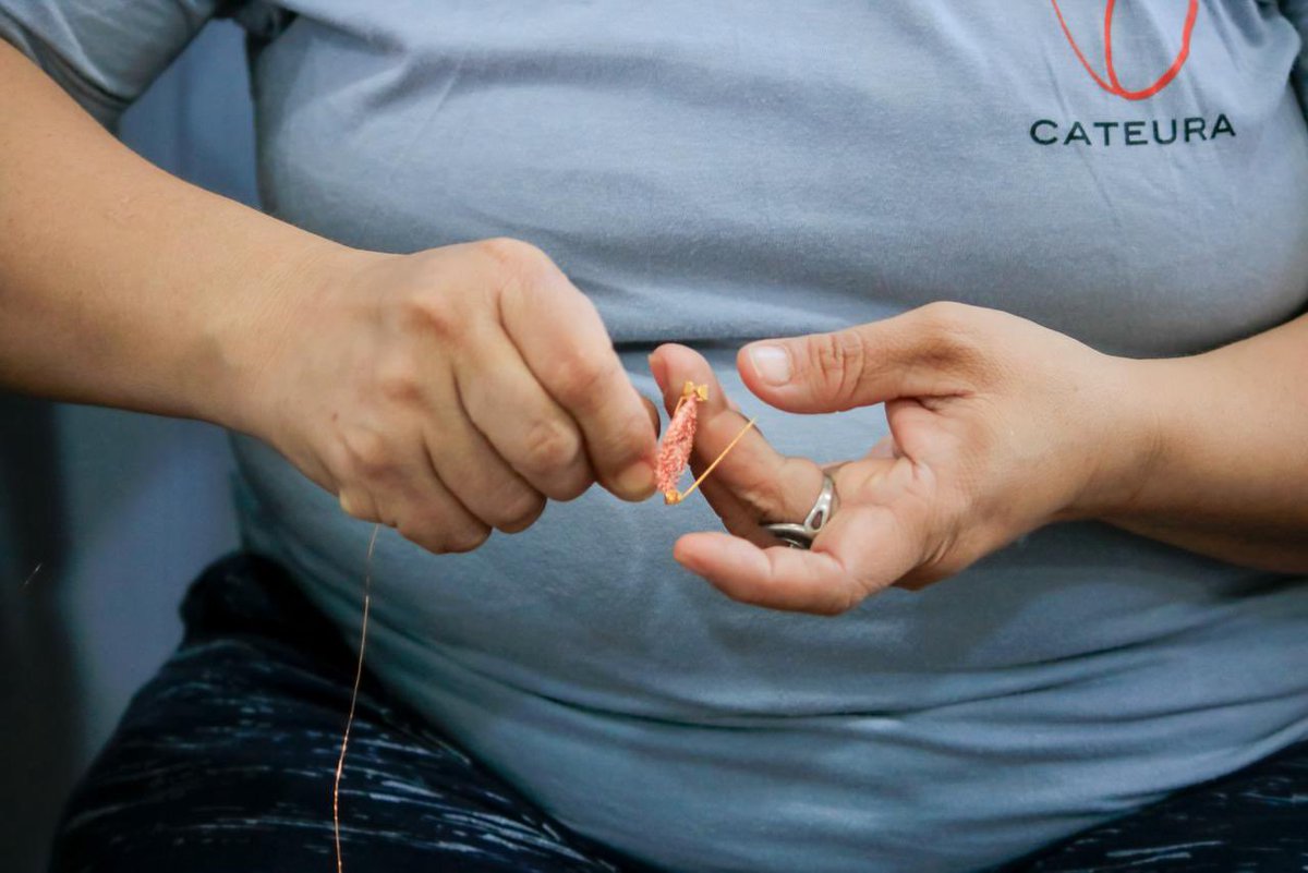 Ministerio de la Mujer tweet media