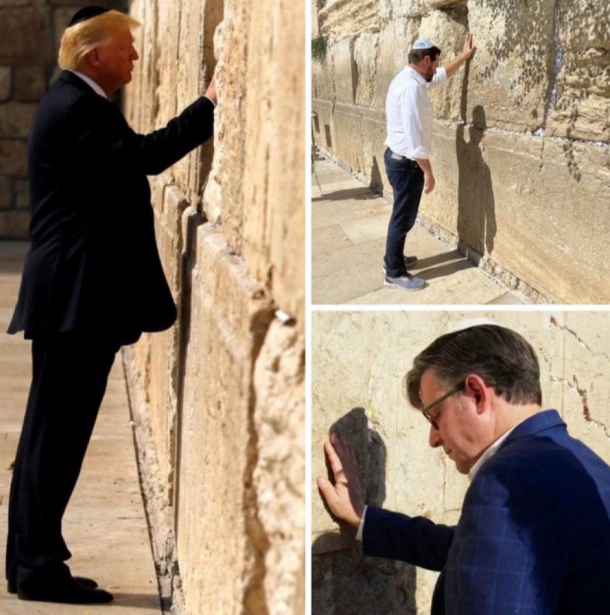 Special Officer Doofy tweet media