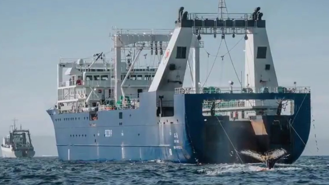 Michael Ron Bowling tweet media