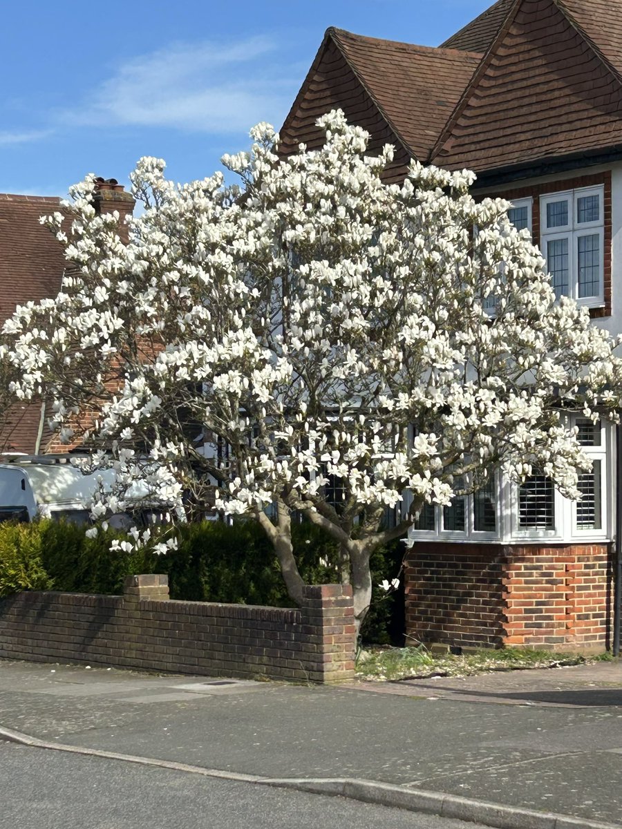 peter lockett tweet media