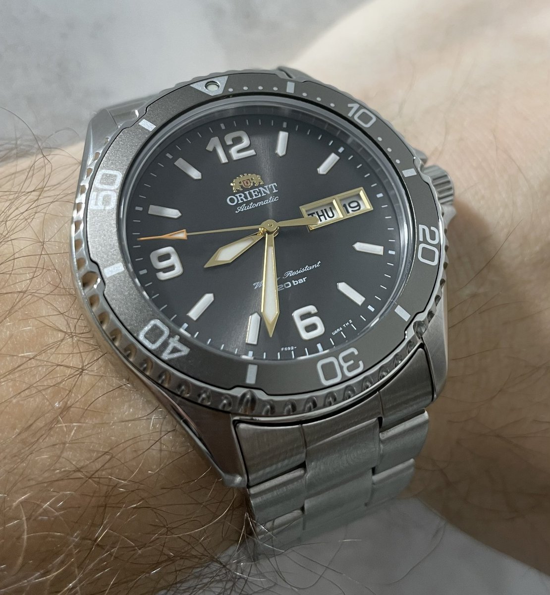 Зігота-Хохотуха на пільгах tweet media