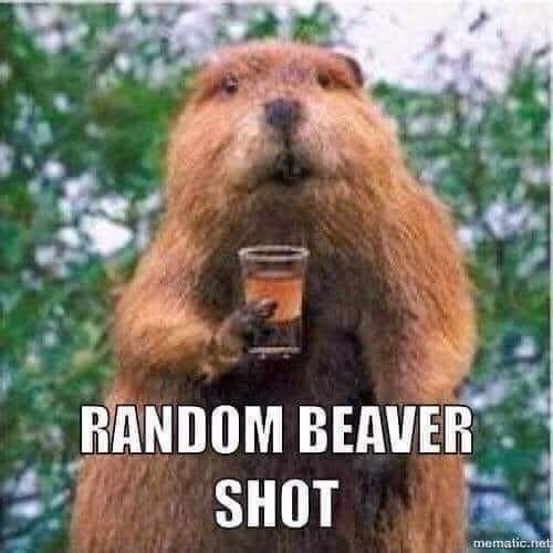 Kimberly Toureiro tweet media