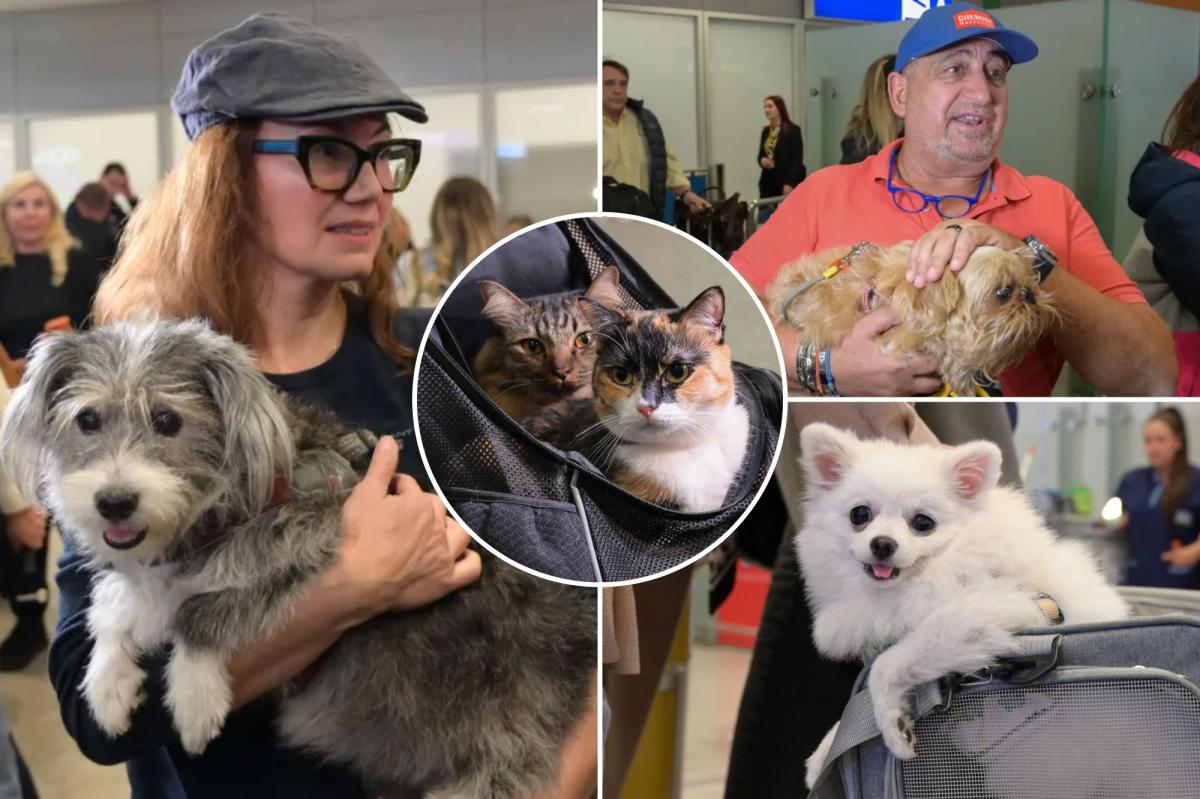 New York Post tweet media