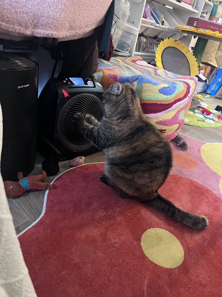 marble 🎱🐝 tweet media