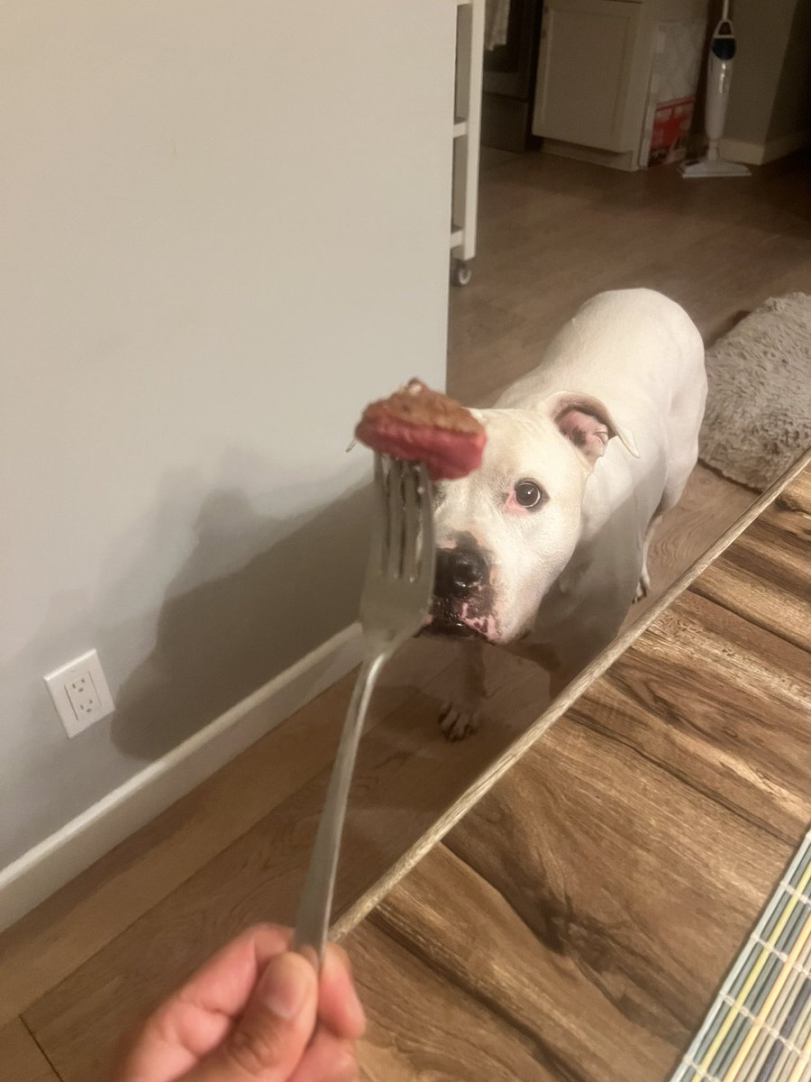 Raider Antonio tweet media