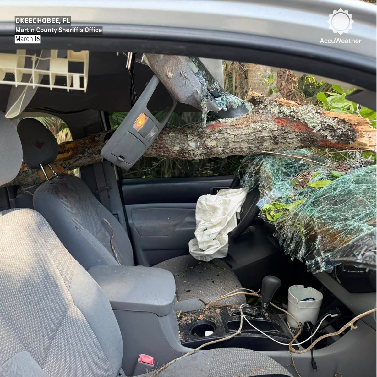 AccuWeather tweet media