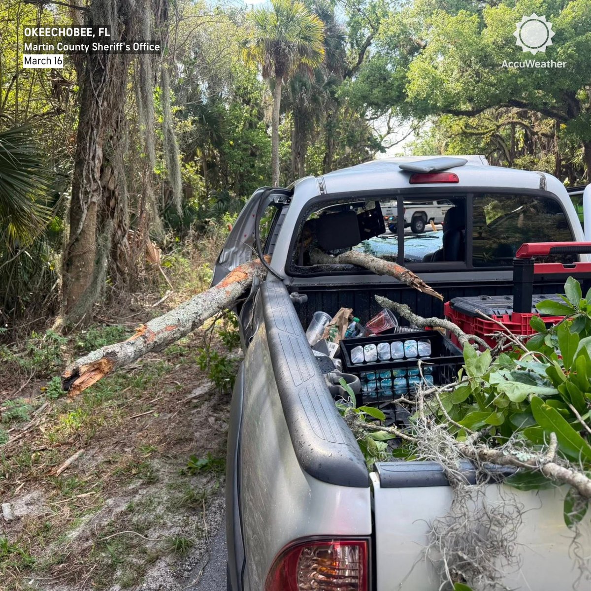 AccuWeather tweet media