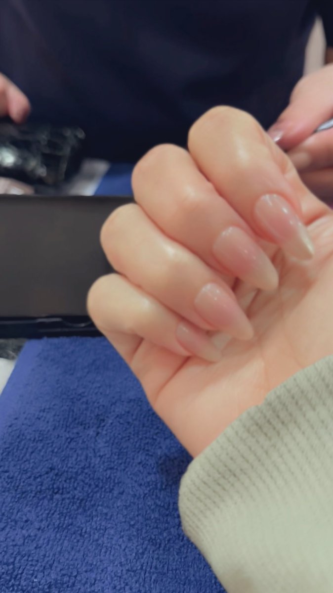 toot Alotaibi tweet media