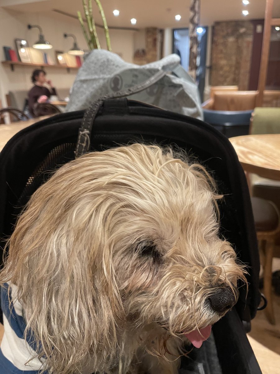 Lord Alfred’s Diary tweet media