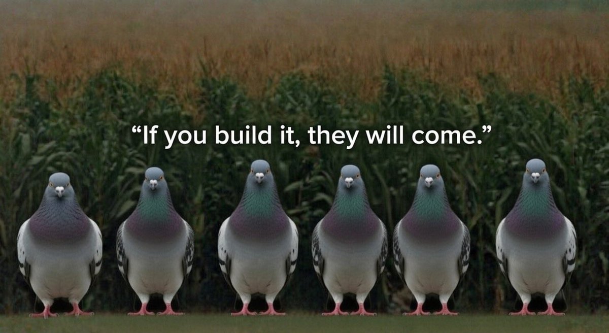 Dr. Ponzi tweet media