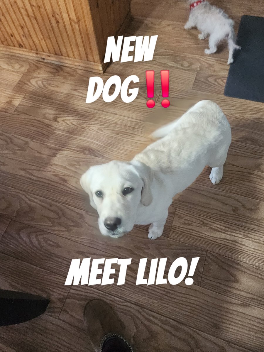 Savage LG tweet media