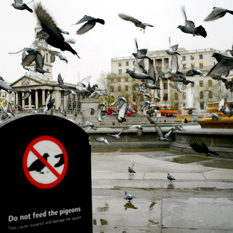 Richard David On 𝕏 tweet media