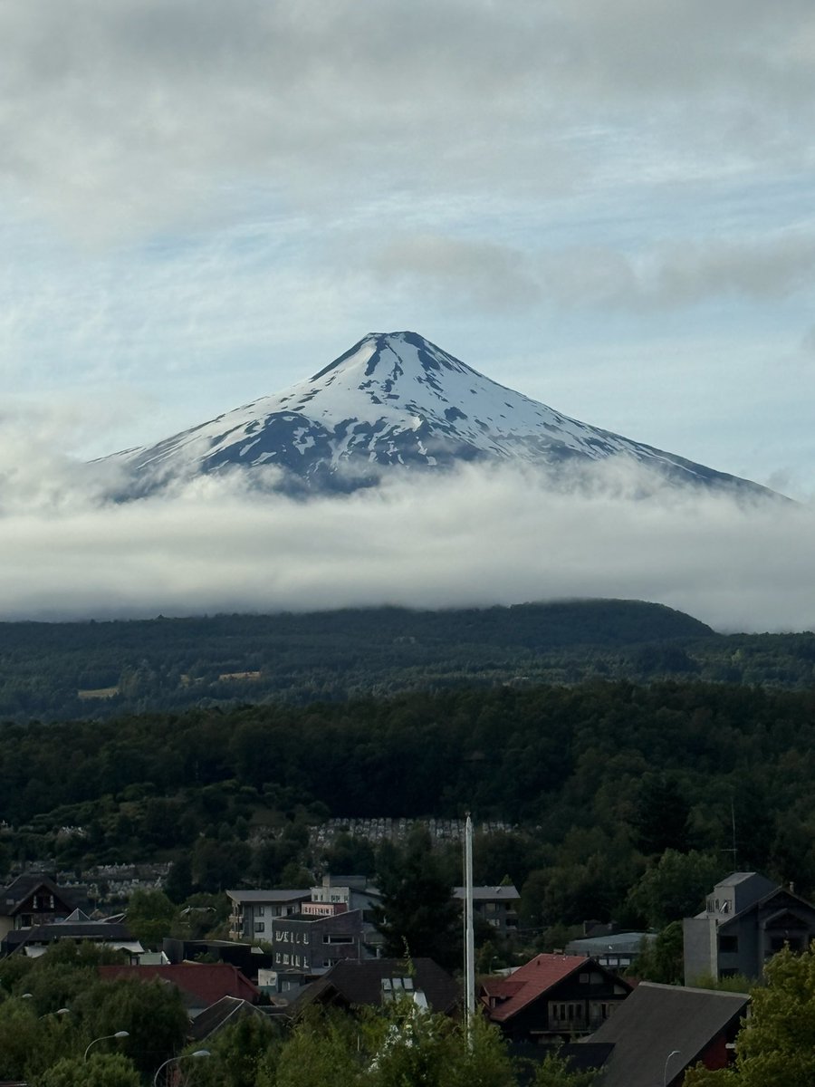 Gerald kara tweet media