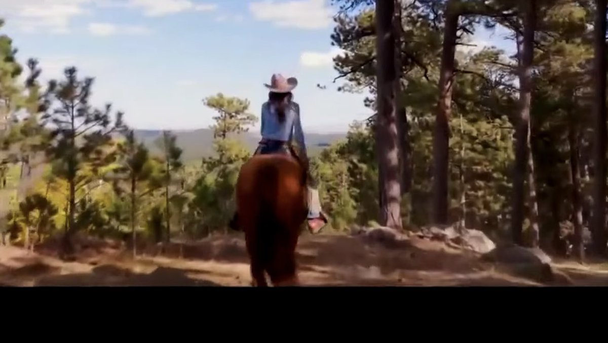 ʜɪɢʜ sᴘᴇᴇᴅ ᴡᴏʙʙʟᴇs! 🏁 tweet media