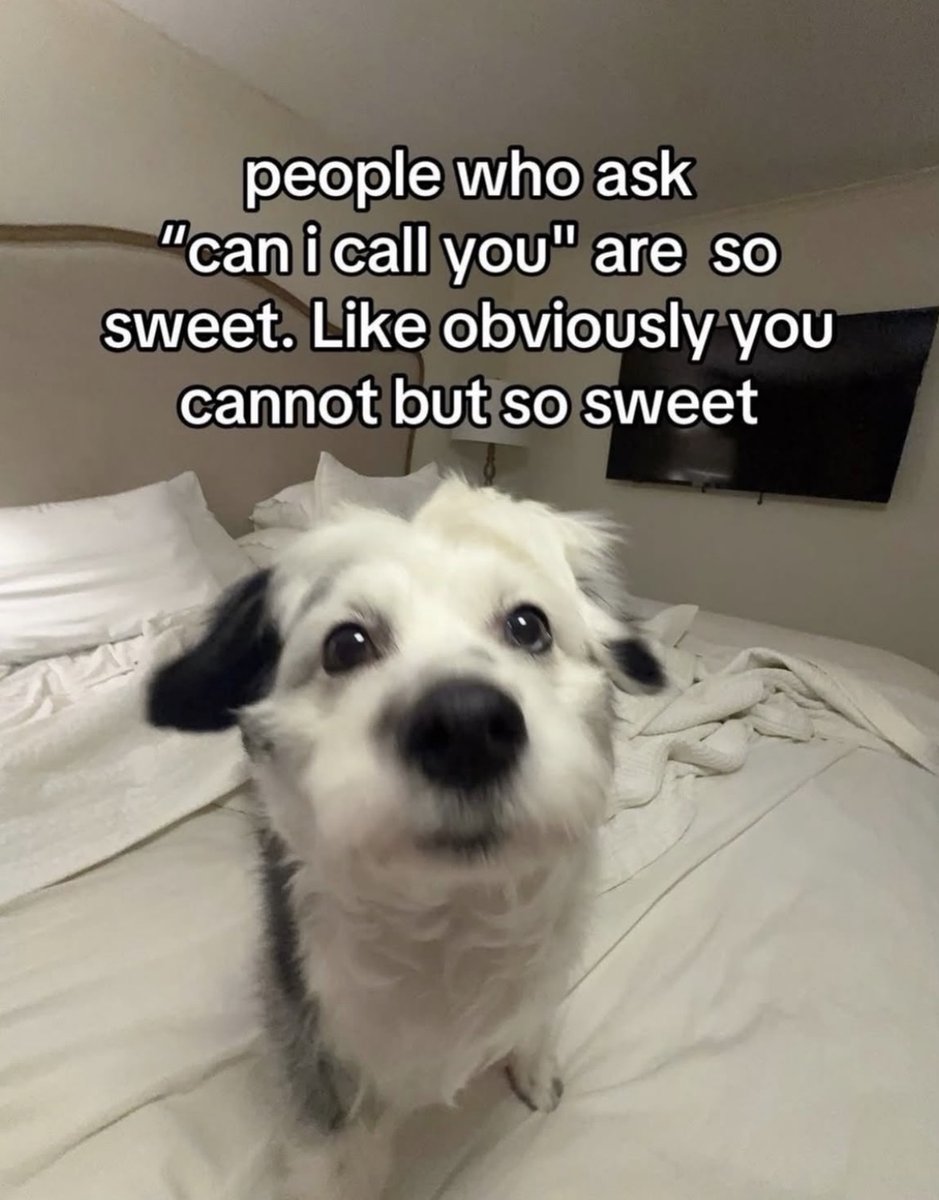 Respectful Memes tweet media