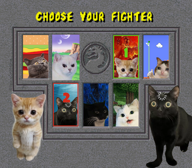 SpaceCatMemes👾 tweet media