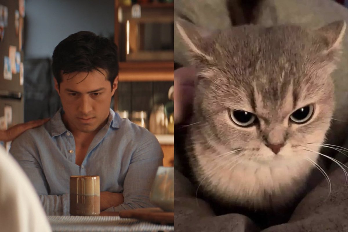 like an angry little kitten