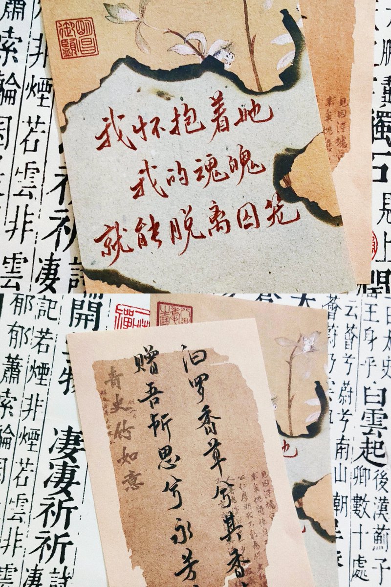 Brittany Schultz tweet media