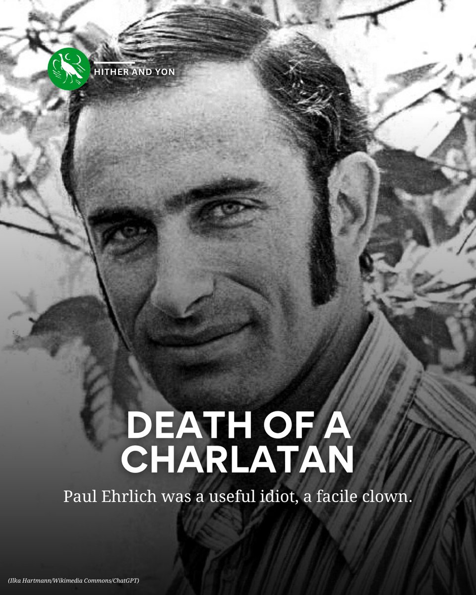 The American Spectator tweet media