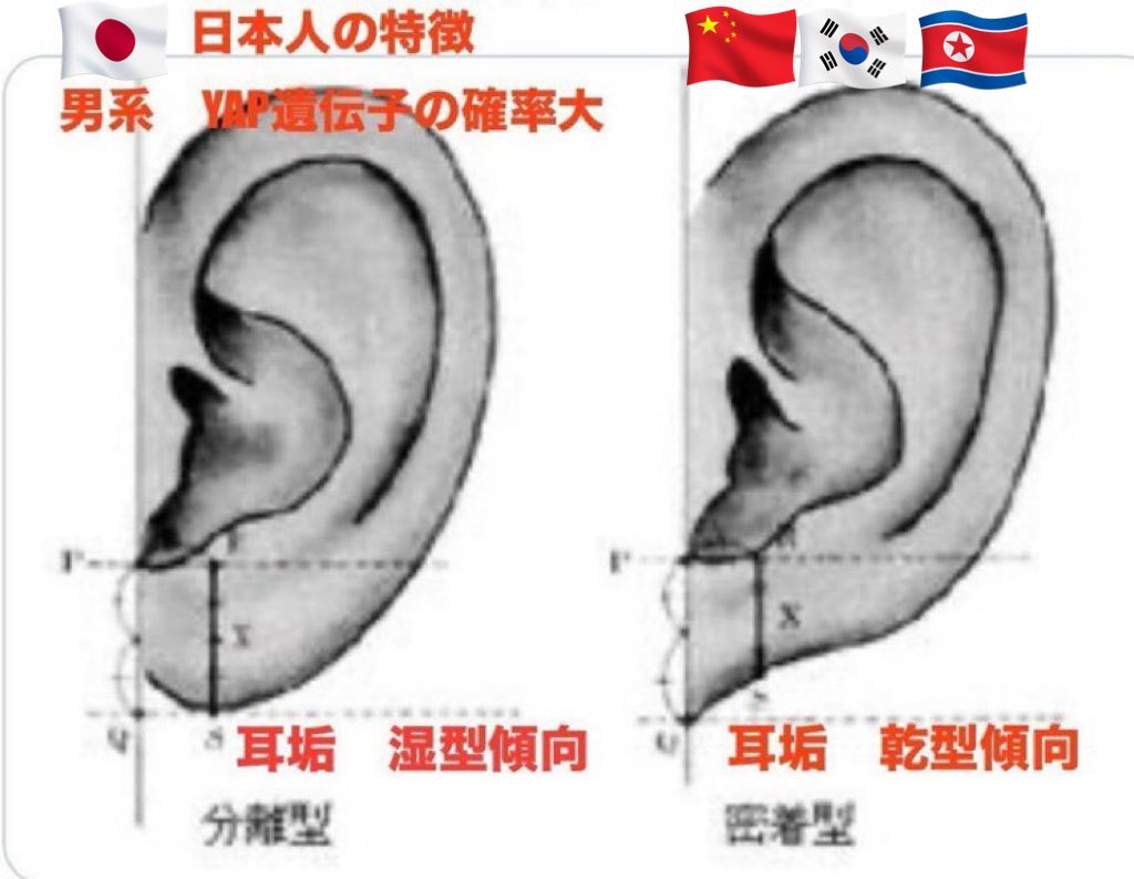 日本大好きっ子 tweet media