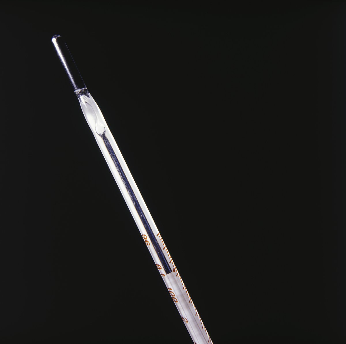 JASMINE SMITH tweet media