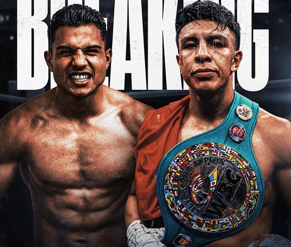 Le retour de BOXE Anglaise News tweet media