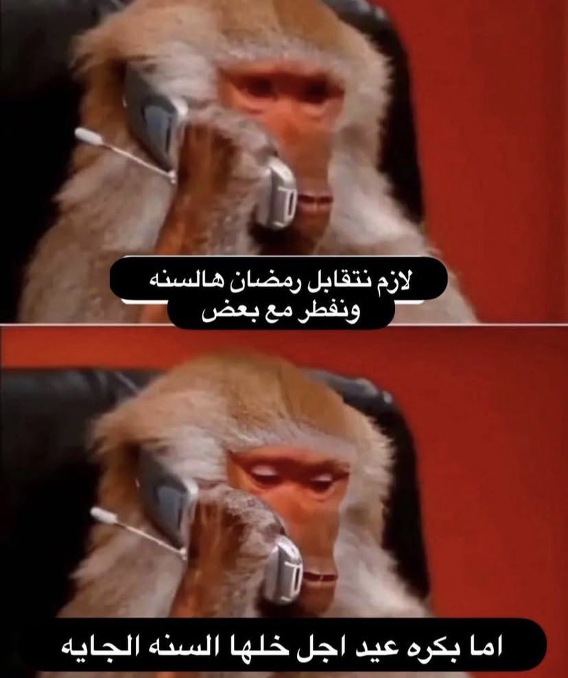 انس ماغيره tweet media