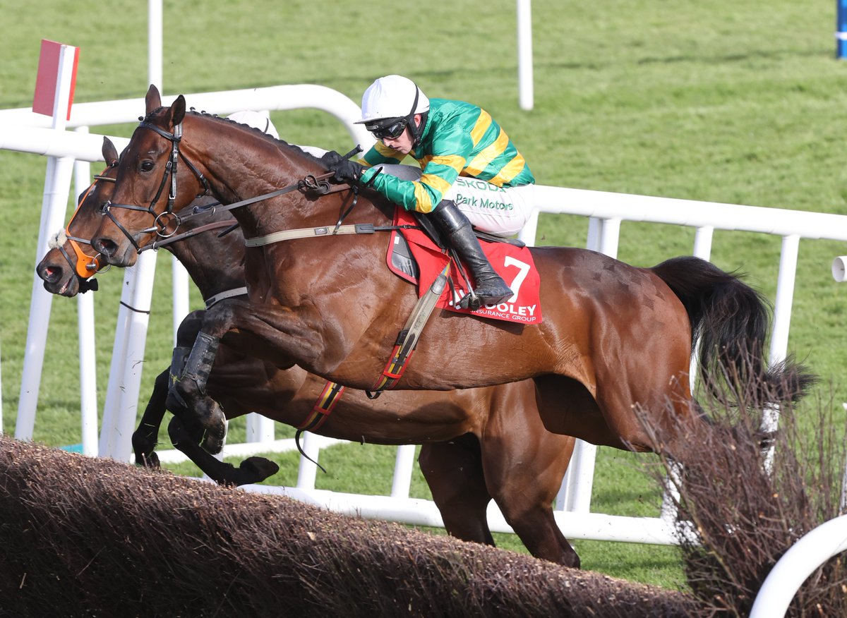 Racing Post tweet media