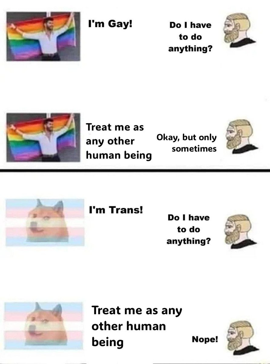 rei ayanami :3 tweet media