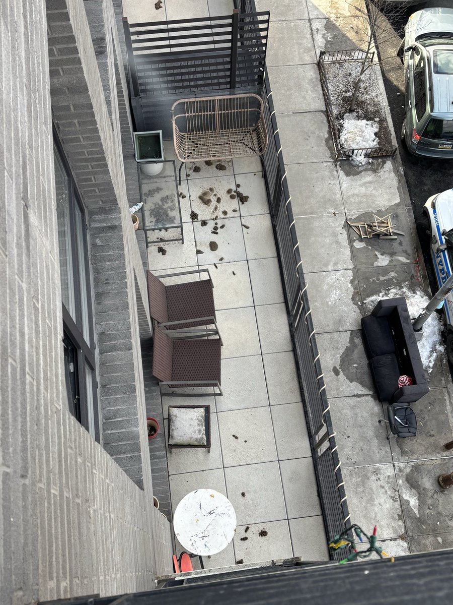 Derrick Holmes tweet media