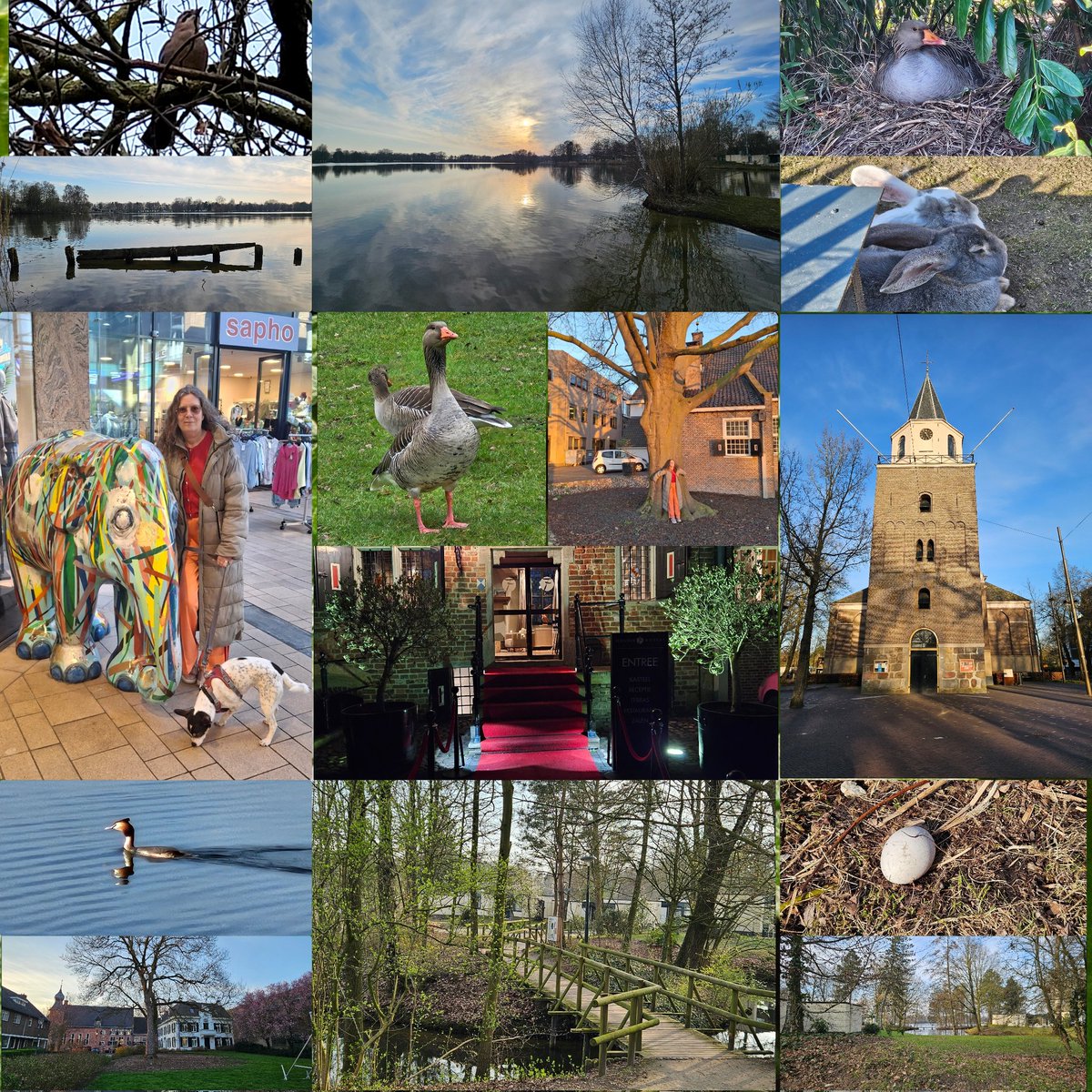 AnitaPeeters's tweet photo. @ProvDrenthe #Genieten van zoveel #Floraenfauna een hele grote #waterplas in onze #achtertuin #fantastisch #leefinhetnu #plukdedag #pakjemomentjes #natuur #fotografie #zon beter wordt het niet #timeflys alweer over de helft van onze #tijd hier #dankbaar 🙏🍀💝 https://t.co/B4cYtnKqIn