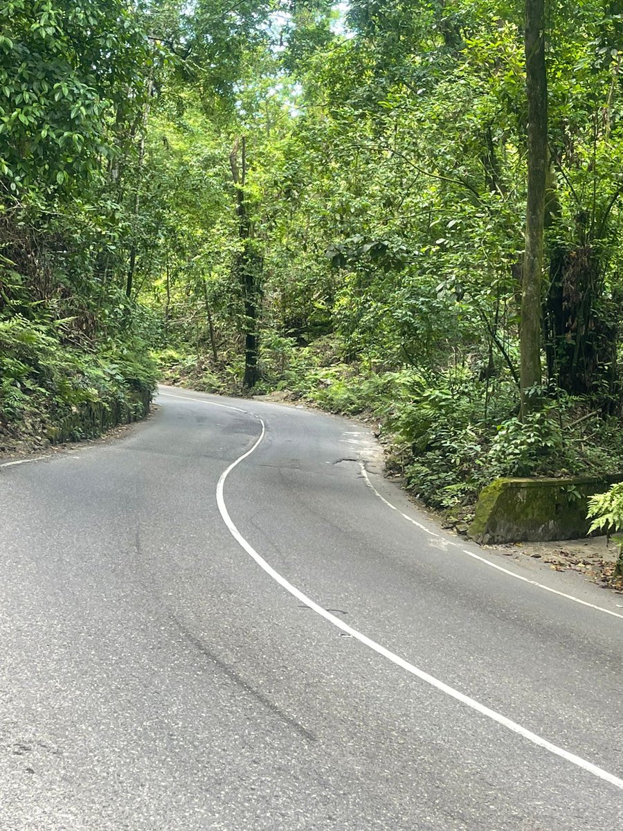 Have you visited the scenic and beautiful #FernGully in #OchoRios?
Did you know it is 3 miles long and has between 300-500 species of Ferns?
Come to #Jamaica and experience it for yourself! <a href="/stann360/">St. Ann 360 🇯🇲</a> 
IslandAdventuresbyGTours.com
 #naturalbeauty #localfood  #localcrafts #rainforest