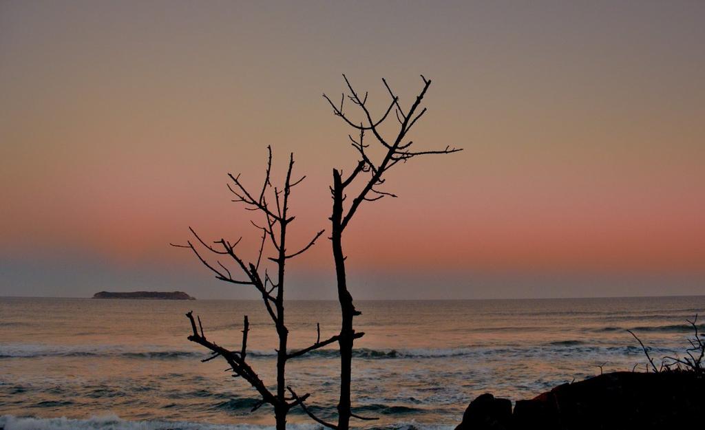 itsAnastasia tweet media