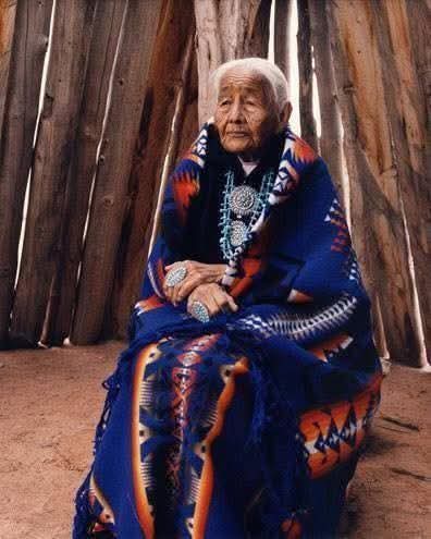 Native American Chief tweet media