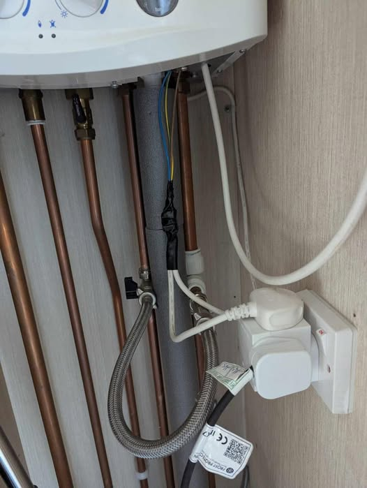 FlyFifer tweet media