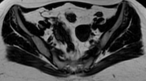 Mai Noboshi 🔮☠️ tweet media