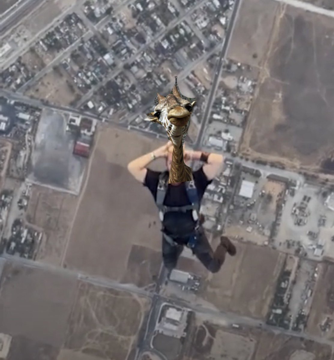 OfDialer | • Art tweet media