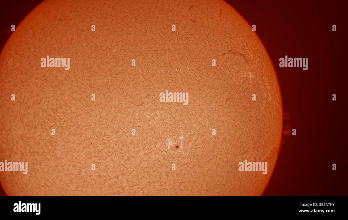 Malcolm Park tweet media