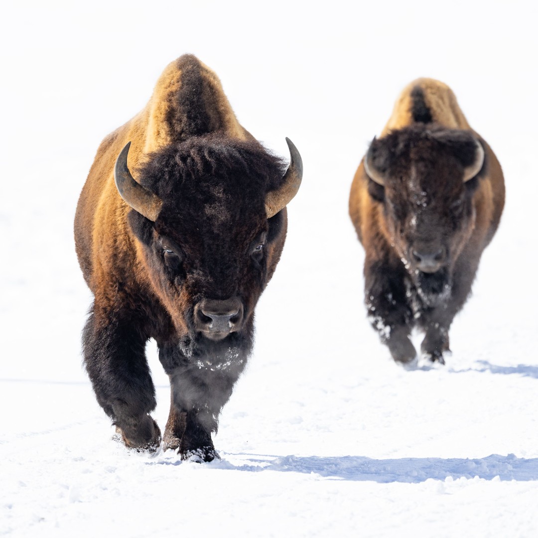 US Department of the Interior tweet media