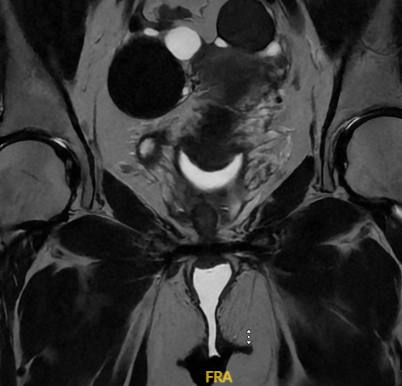 Mai Noboshi 🔮☠️ tweet media