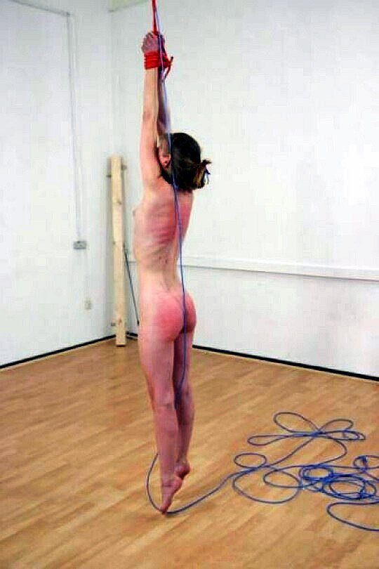 Mauricio Dom tweet media