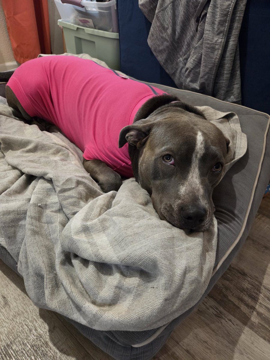 FugitiveKatCreations tweet media