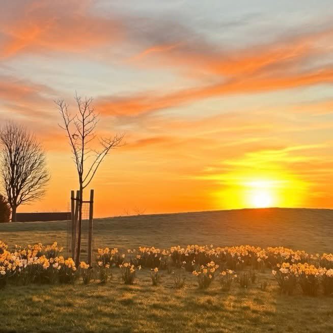 Steven morgan tweet media