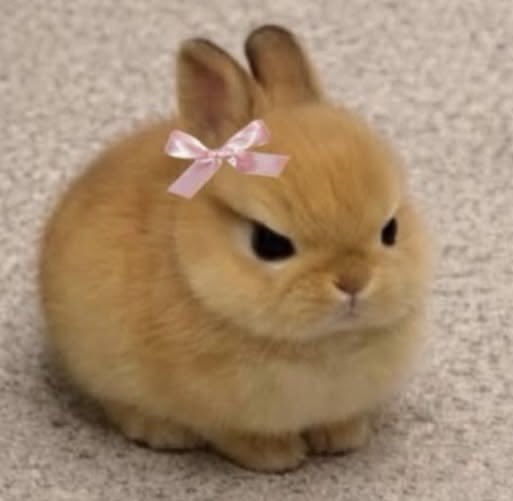 gray 𝜗𝜚 tweet media