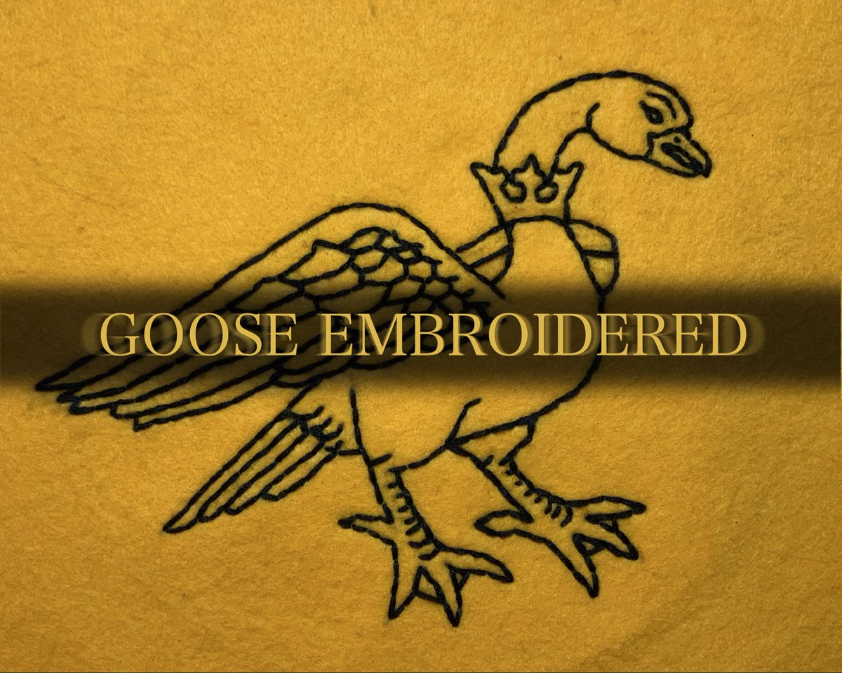 BinGoblin tweet media