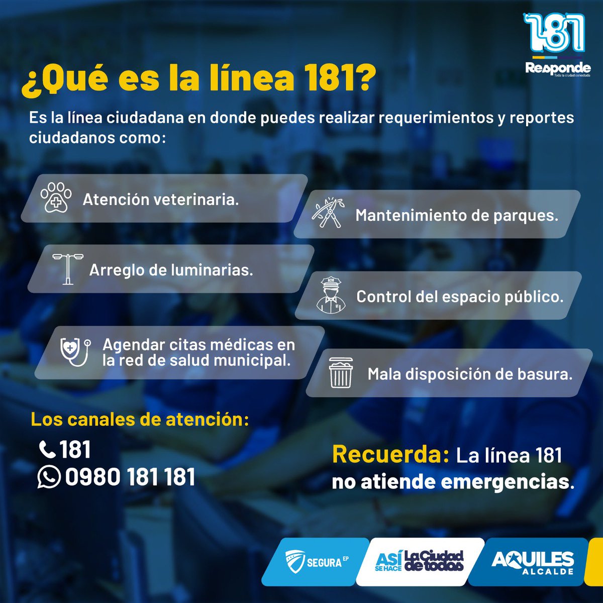 181 Responde tweet media