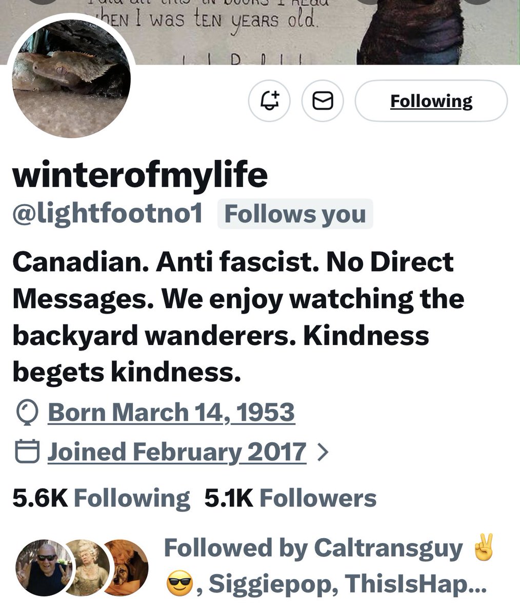 Turquoise Cat tweet media