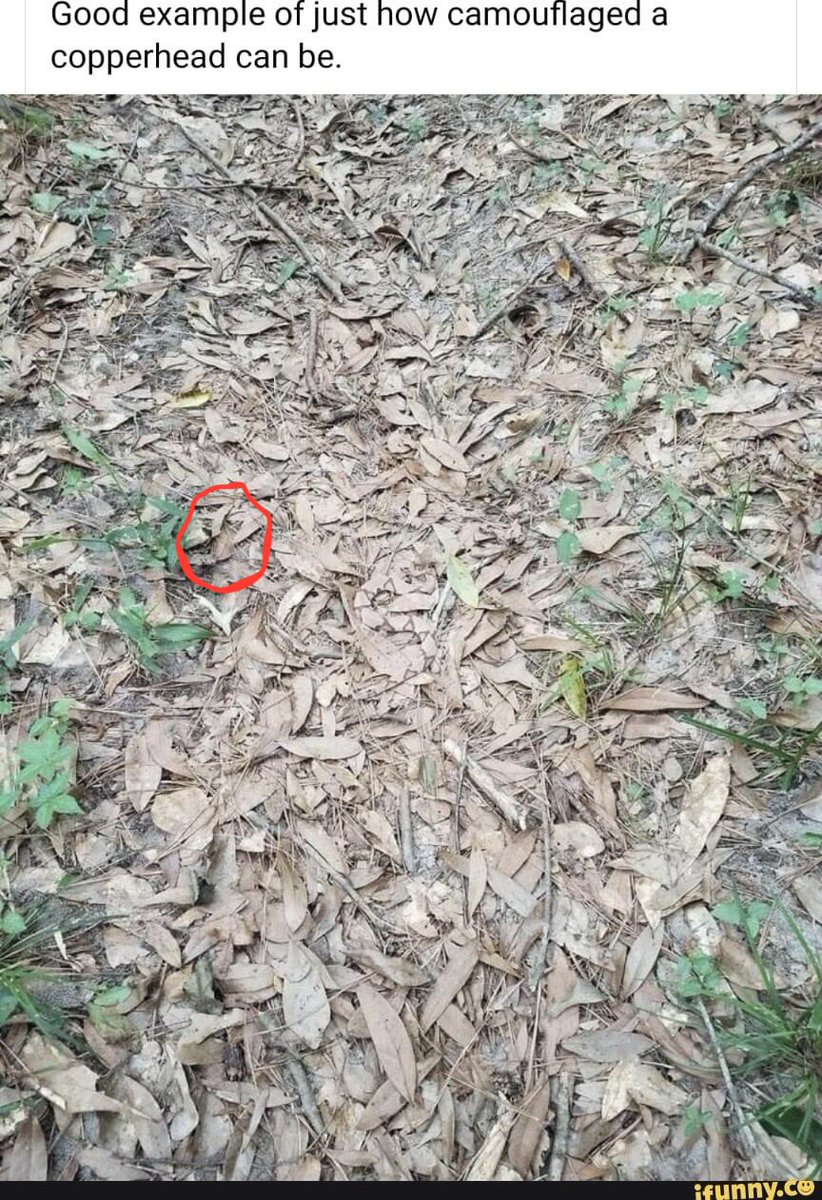 Douglas Ratcliff tweet media