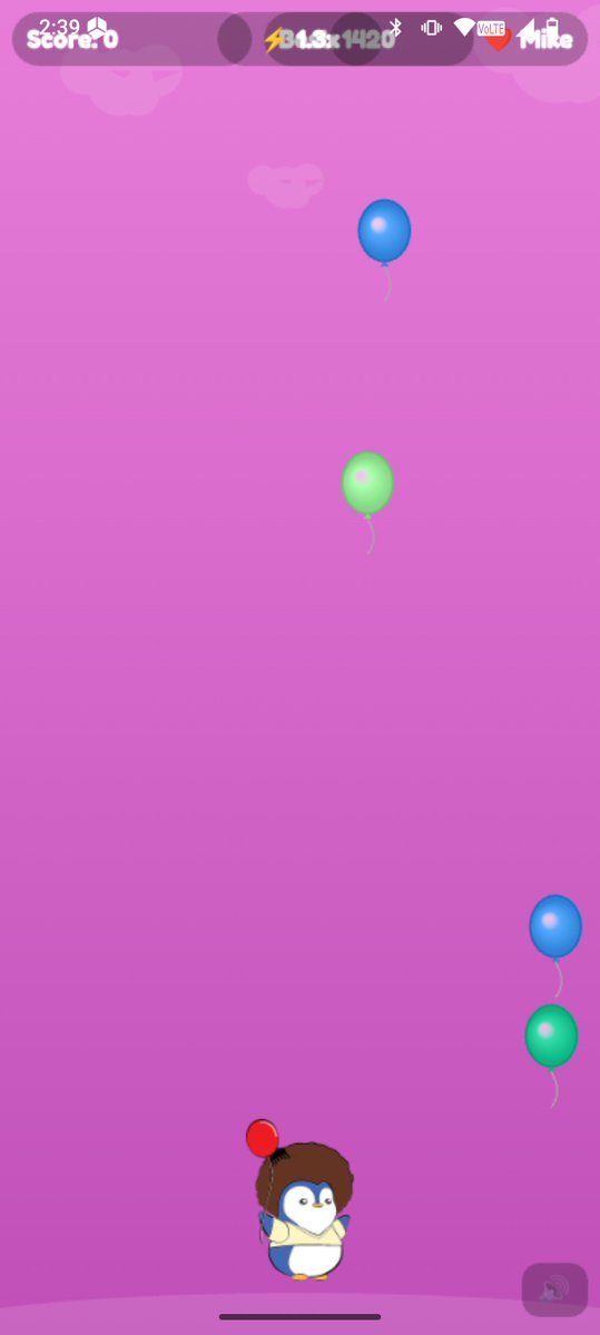 Ross.pengu tweet media