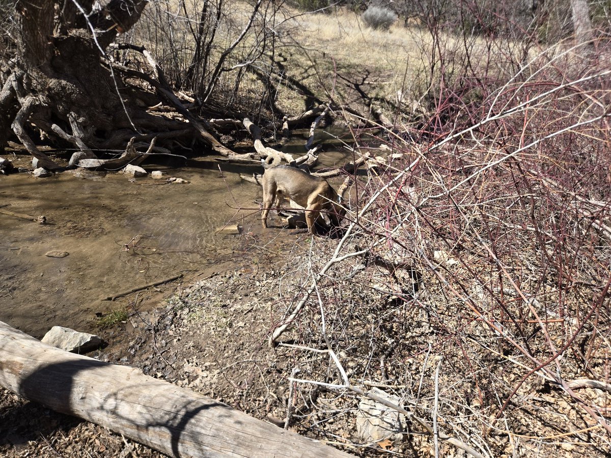 David Angus tweet media